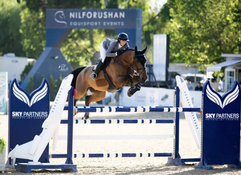 Screenshot 2024-12-19 at 2.28